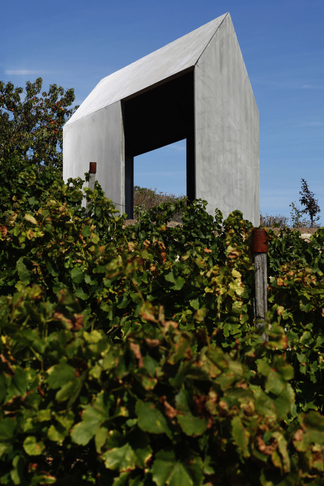 Foto: Blick auf das moderne Weinbergshaus aus Betonelementen, das sich an einem Hang zwischen Obstbäumen und Weinreben befindet.