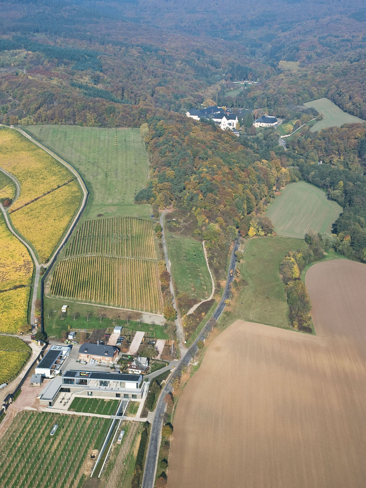 Luftbild mit Blick auf den Steinbergkeller inmitten von Feldern und Wald