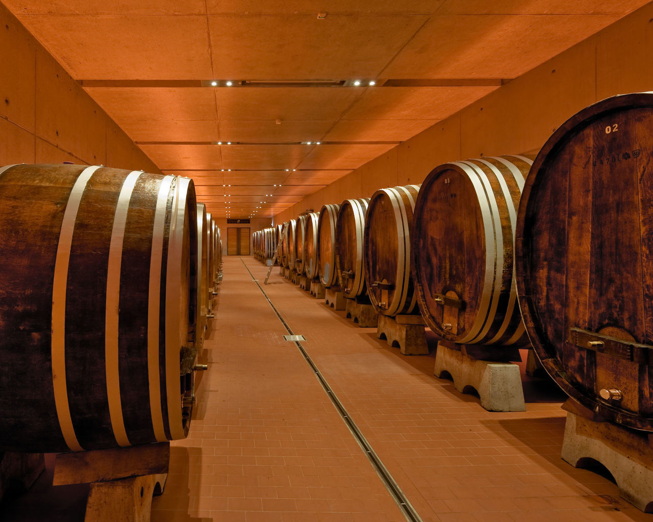 Ein langgezogener Weinkeller präsentiert Reihen von großen Fässern in angenehmer Beleuchtung