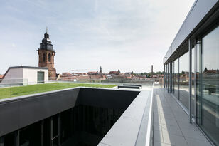 Blick auf die Dächer der Innenstadt Landaus