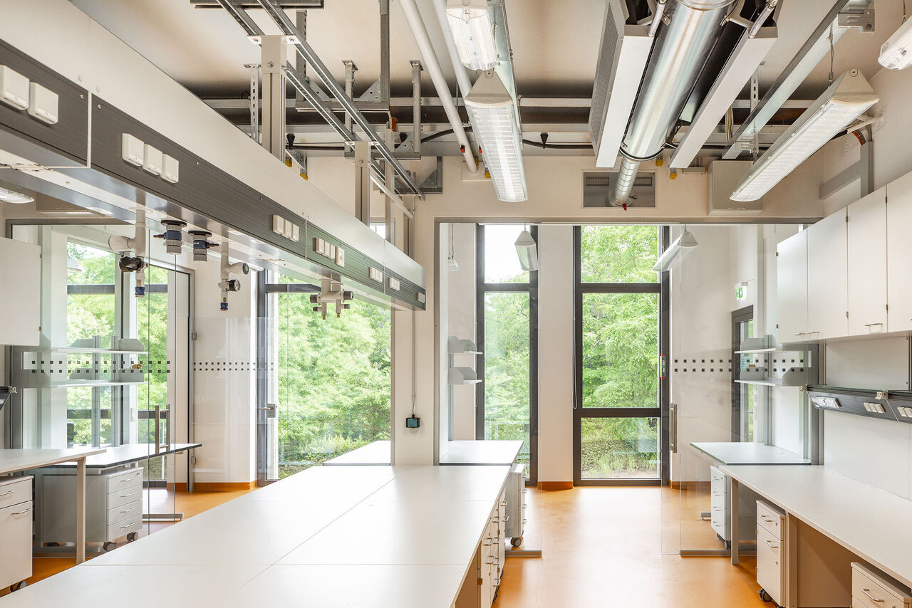 In den Laborclustern ermöglichen bodentiefe Fenster an den Auswerteplätzen, die entlang der Fassade angeordnet sind, großzügige Ausblicke in die Natur.