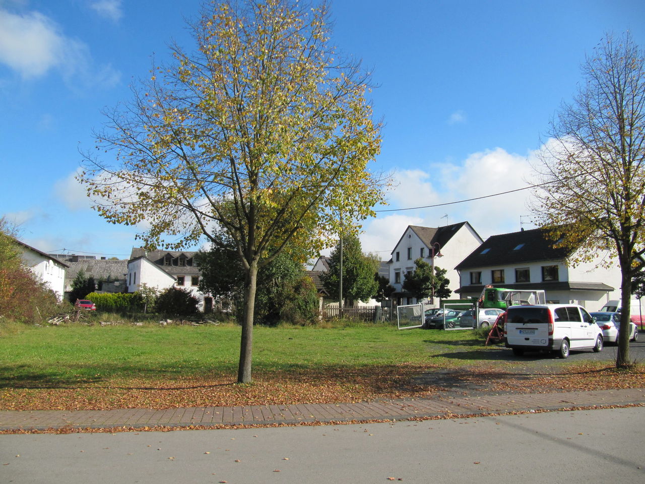 Grünfläche inmitten eines Wohngebiets, im Vordergrund ein Baum und seitlich Fahrzeuge und neuere Einfamilienhäuser mit Giebeln.