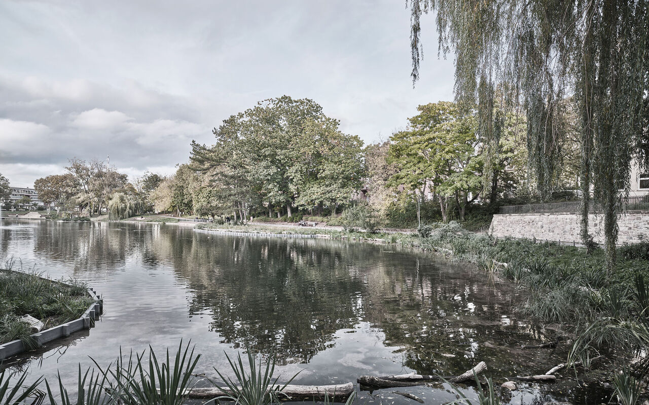 Bepflanzte Filterzonen im Weiher im Ostpark