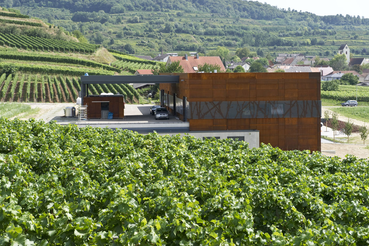 Foto: Blick vom Weinberg auf das sich im Hang befindente Weingut, das sich durch seine Rostbraune Stahlfassade perfekt in die Landschaft einfügt