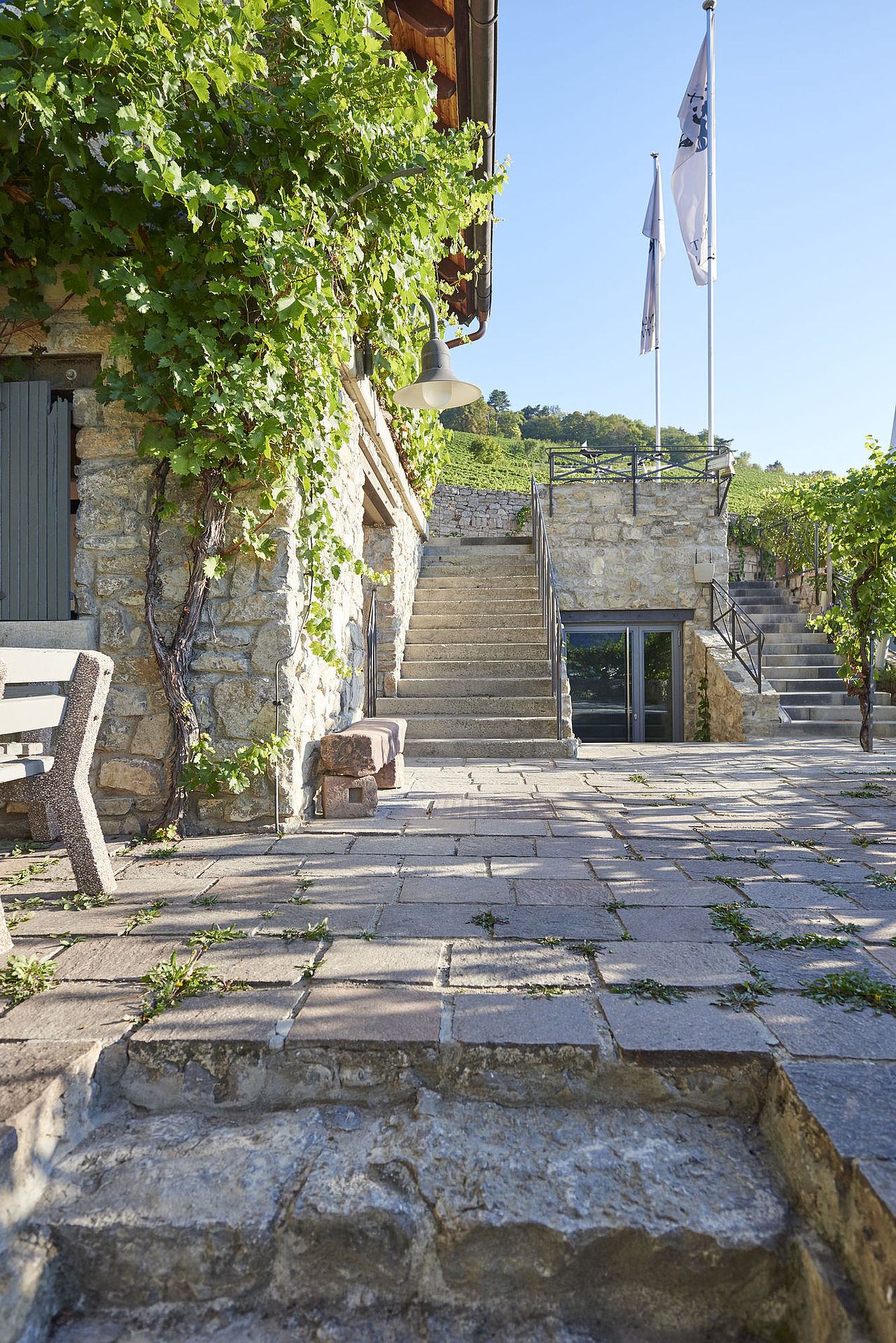 Weingut am Stein, Würzburg