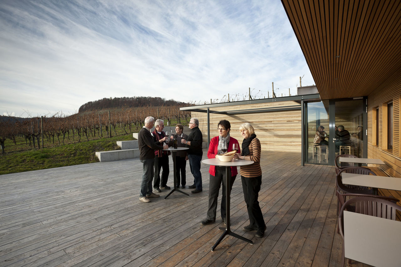 Foto: Blick auf die weitläufige Terrasse, auf der eine Weinprobe statt findet, im Hintergrund sieht man die Weinberge die direkt an die Terrasse angrenzen.
