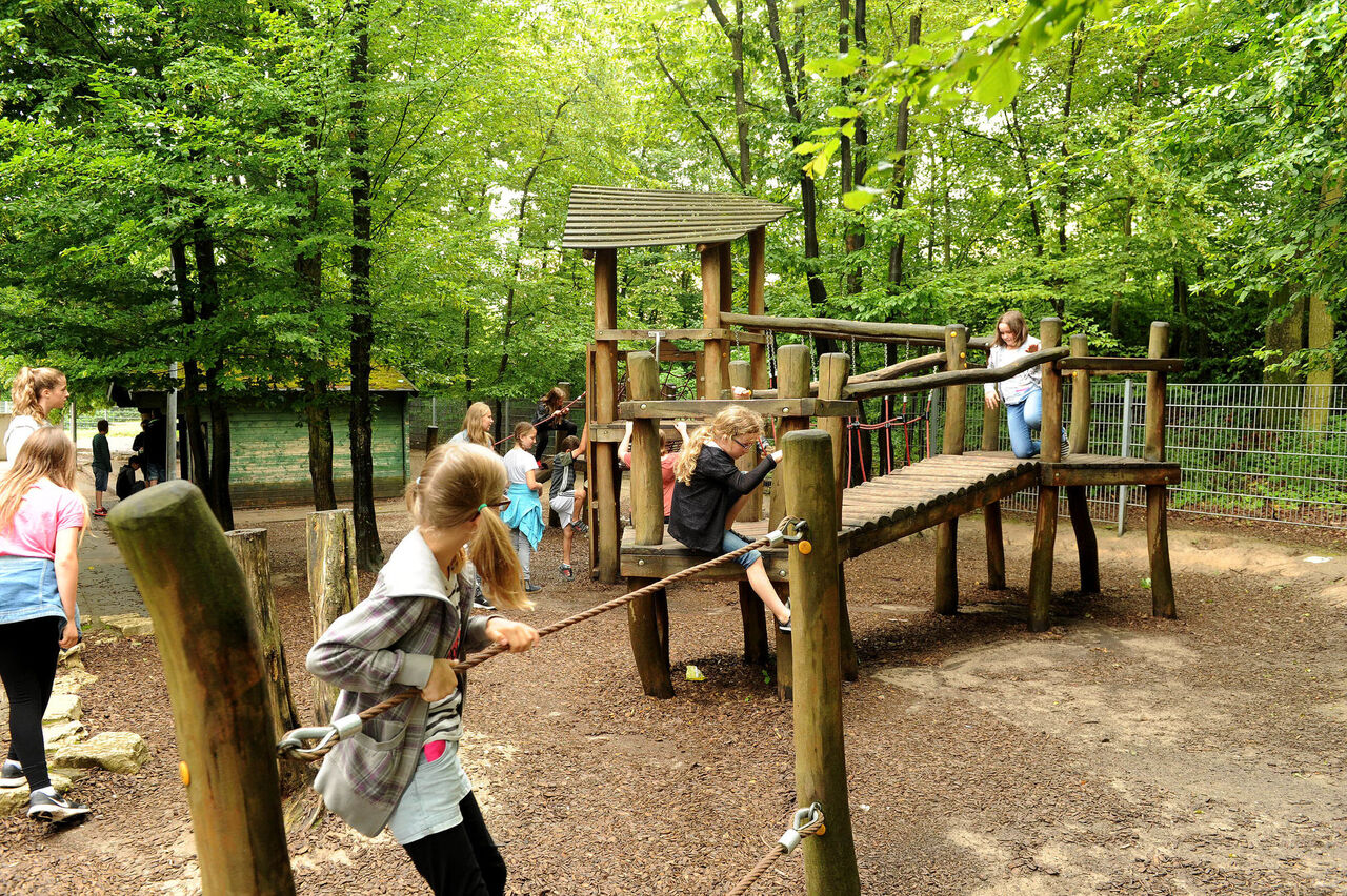 Kinder beim Erkunden der Außenanlage der Lerchenberg-Grundschule.