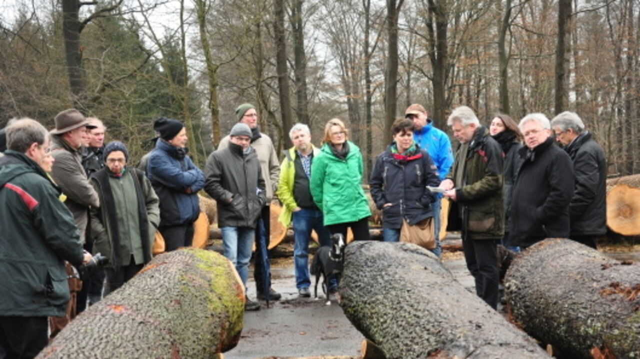 Menschen im Wald