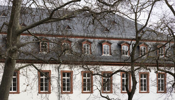 Foto: Martina Pipprich, Mainz Zitadelle Bau A Dach