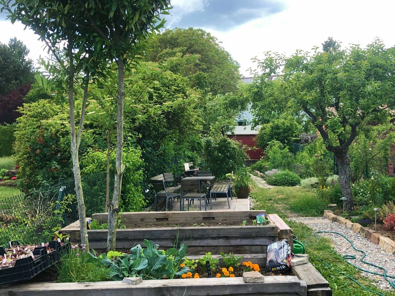Gemeinschaftlicher Garten