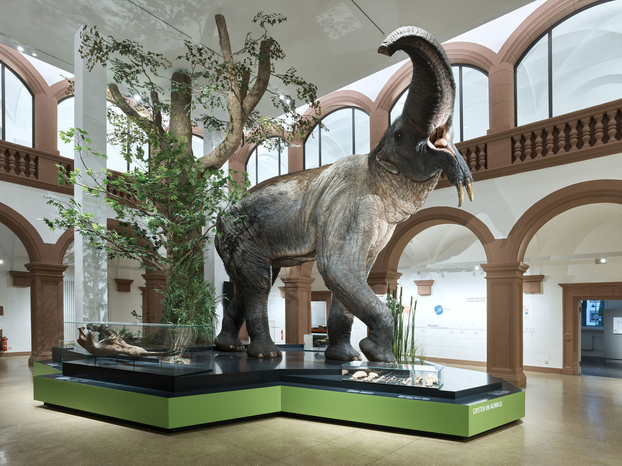 Neue Ausstellung Naturhistorisches Museum