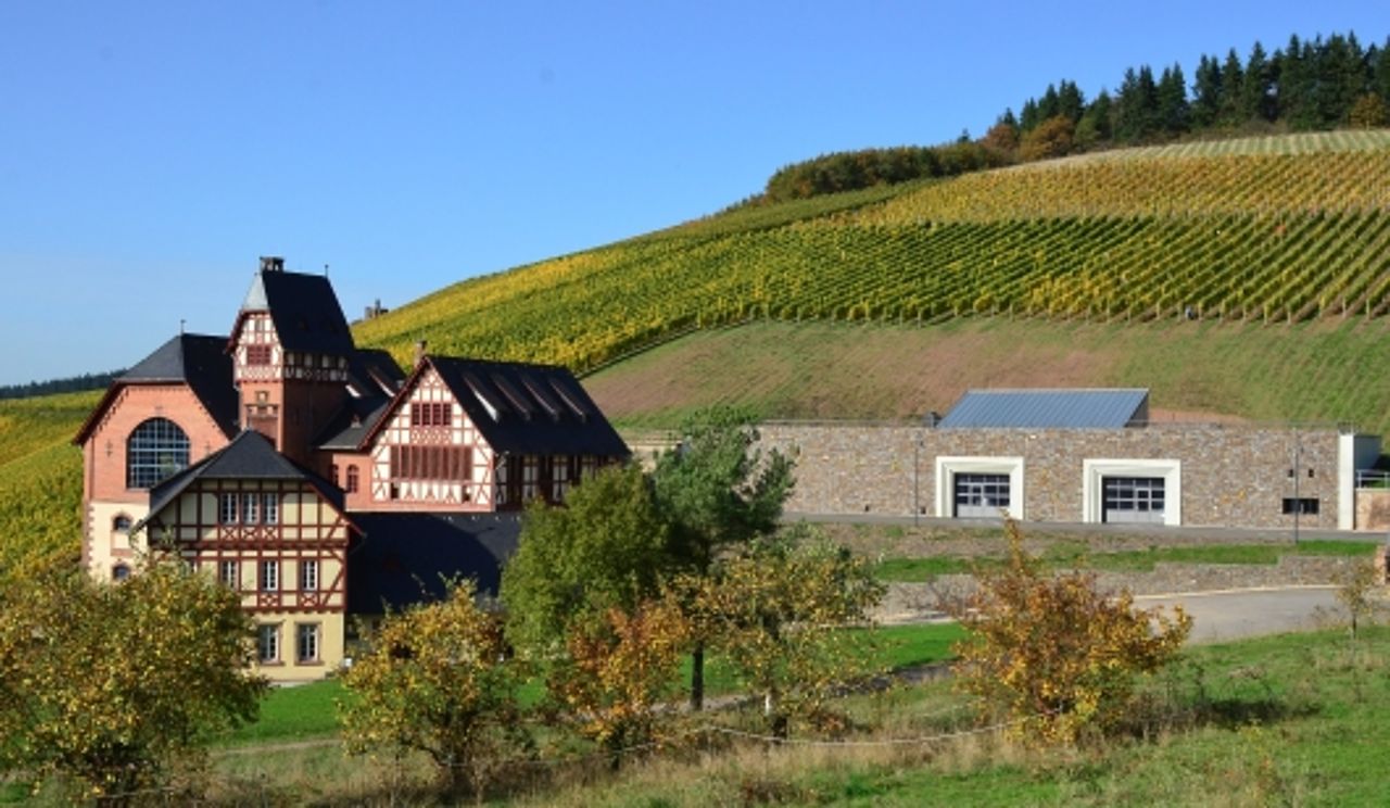 Foto: Blick aus dem Tal auf die historische Domäne und das neue Wirtschaftsgebäude