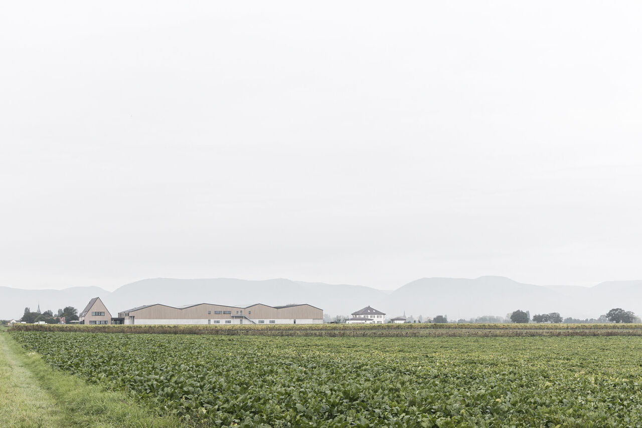 Einbindung in die Landschaft