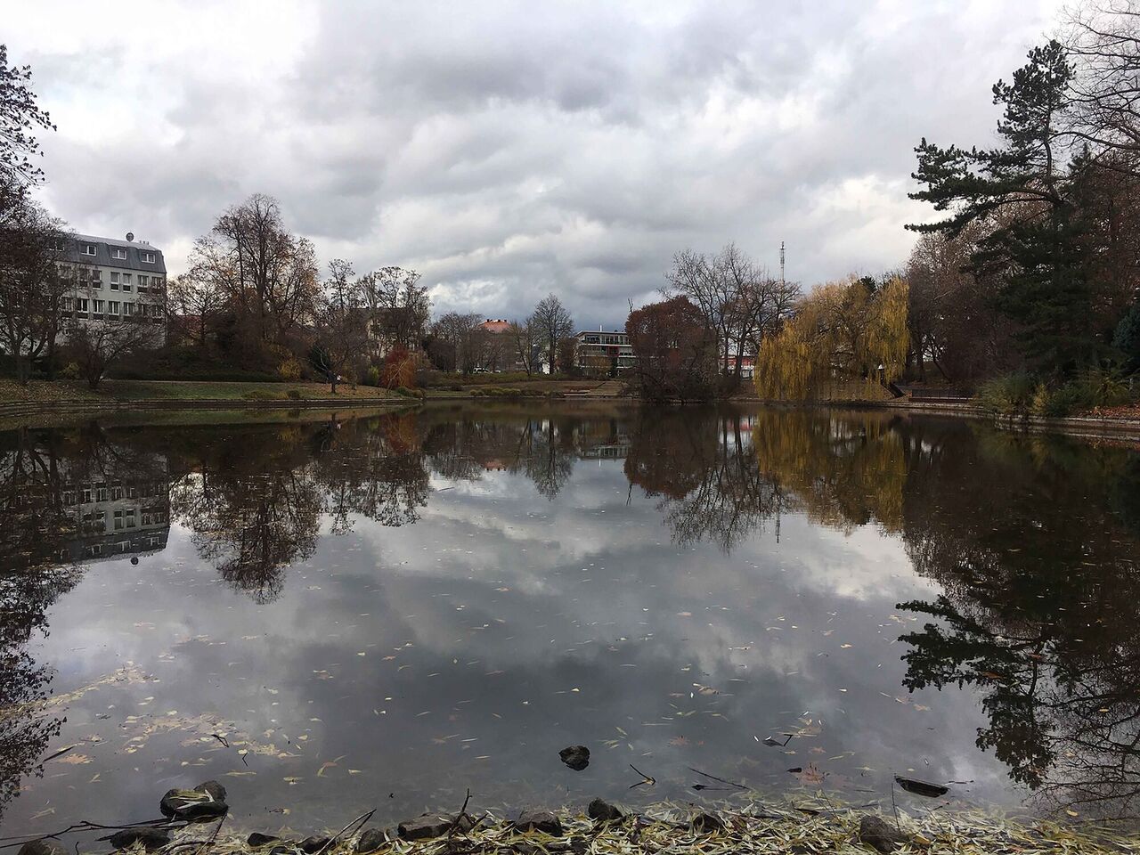 Vorher - Bestandsfoto 2019 Landau Ostpark