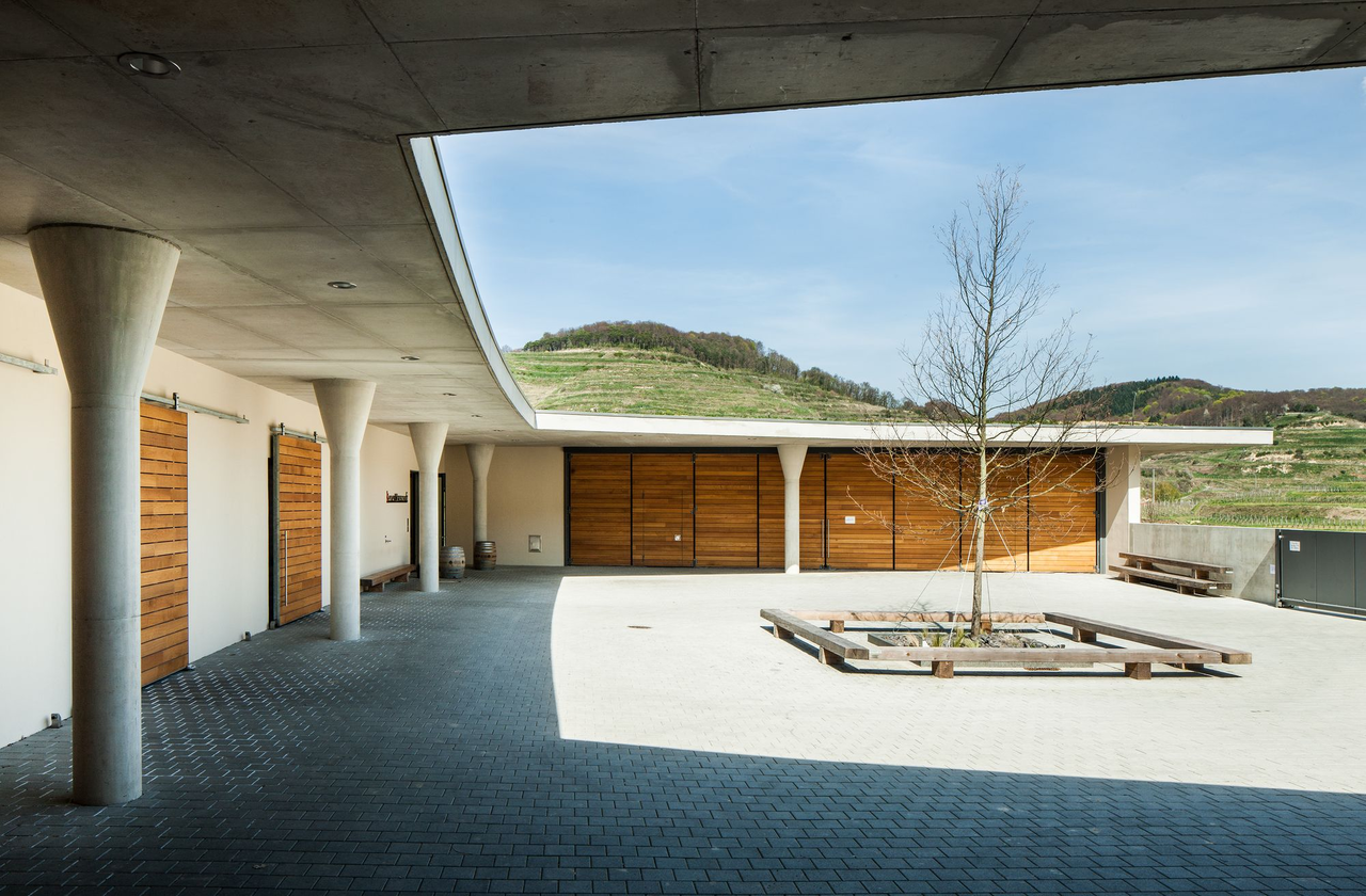 Außenbereich Weingut Franz Keller, Vogtsburg