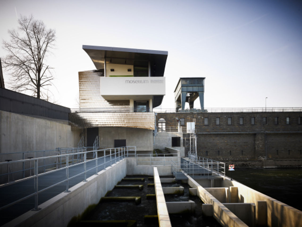 Foto: Mosellum Erlebniswelt Fischpass in Koblenz - Wiedergutmachung für Eingriffe in die