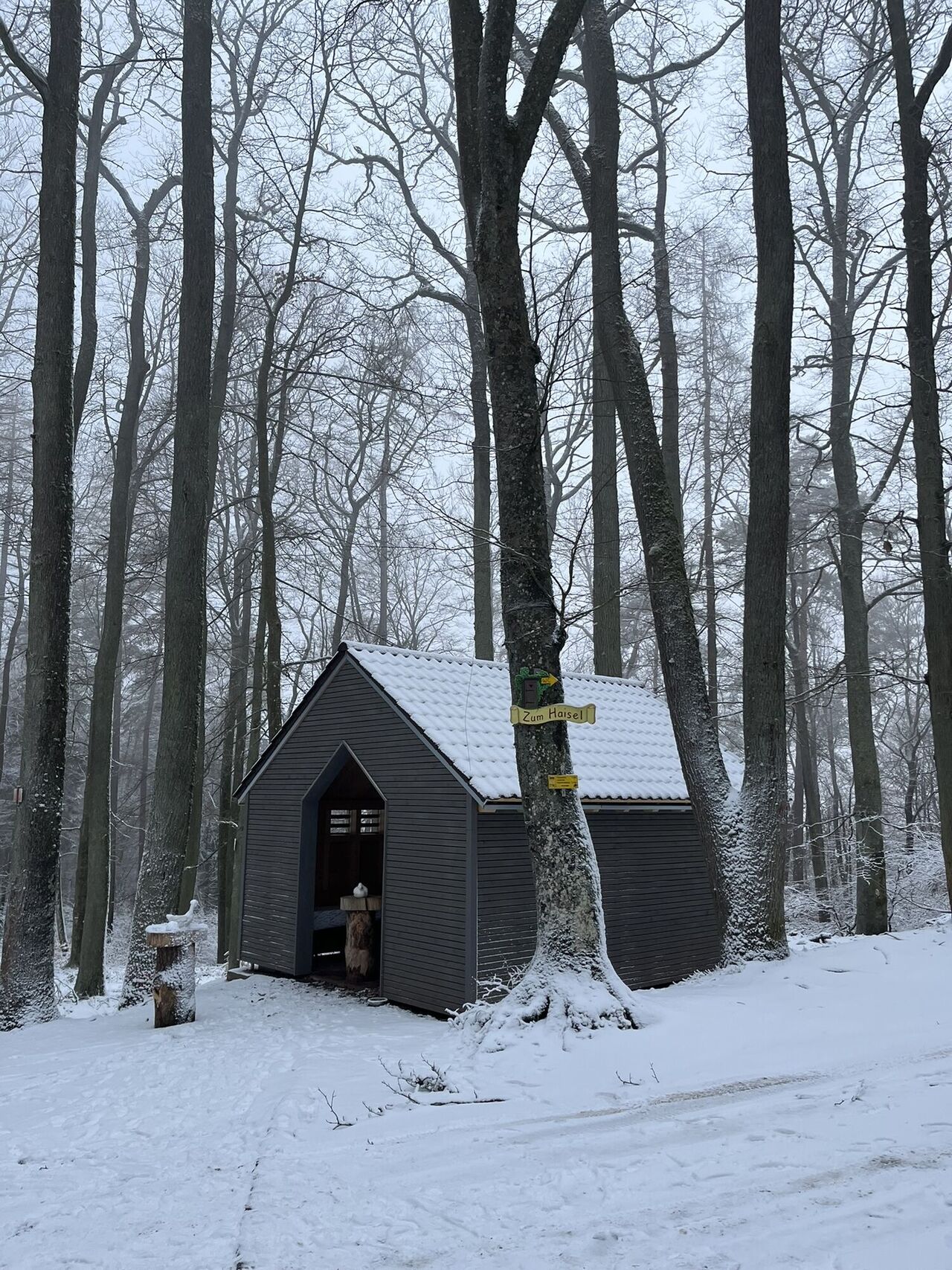 Schutz im Winter