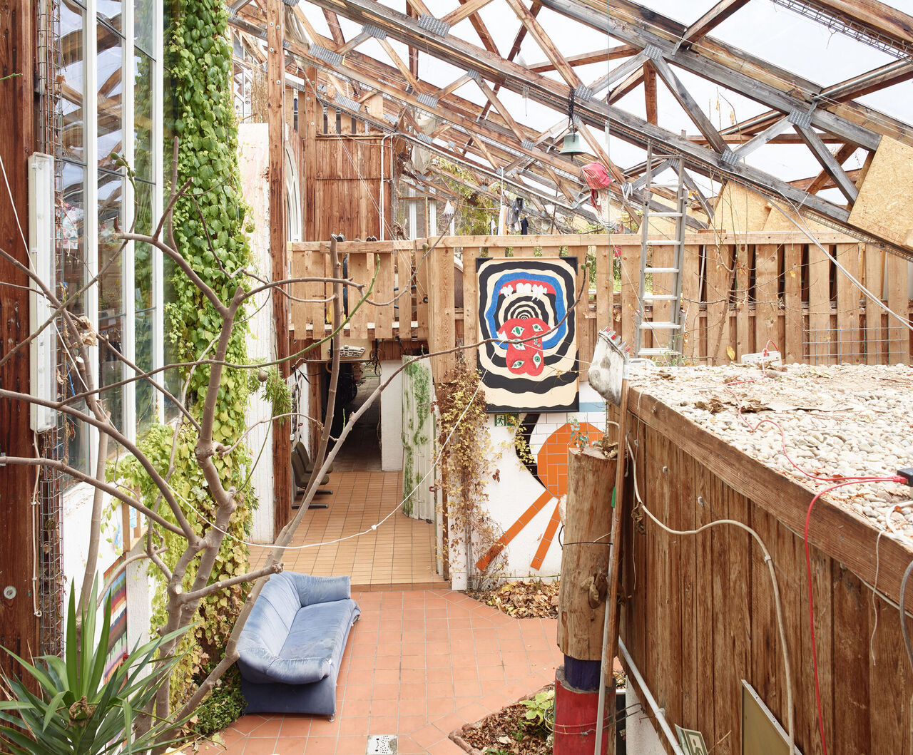 Blick in Holztragwerk und Innenraum des Gewächshauses vor der Sanierung