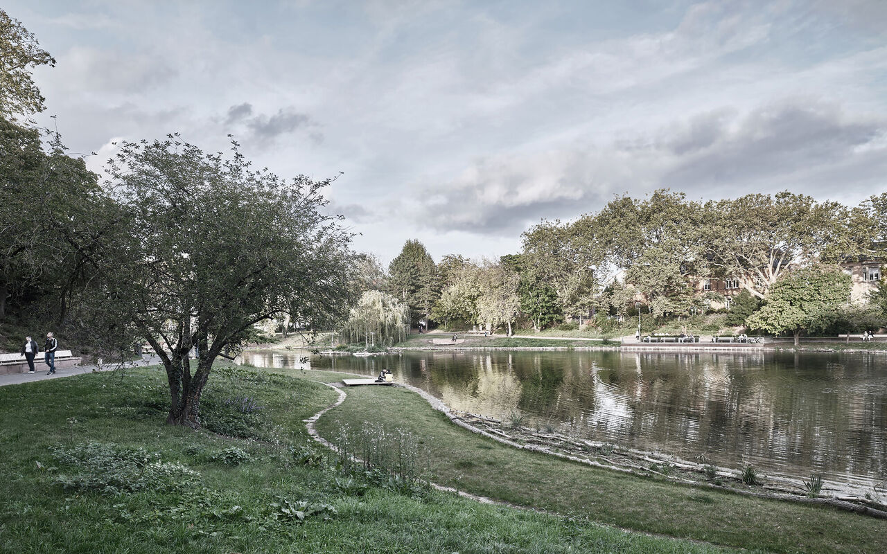 Neue Uferzonen im Ostpark Landau