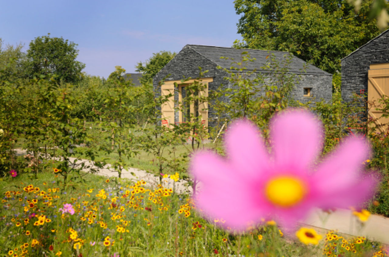 Foto: Blick auf die von Obstbäumen und Blumenwiesen umgebenen Winzerhäuser aus Schieferstein.