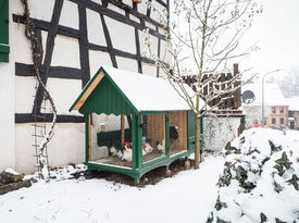 Foto: Matthias Faul, Maßweiler Im Schnee