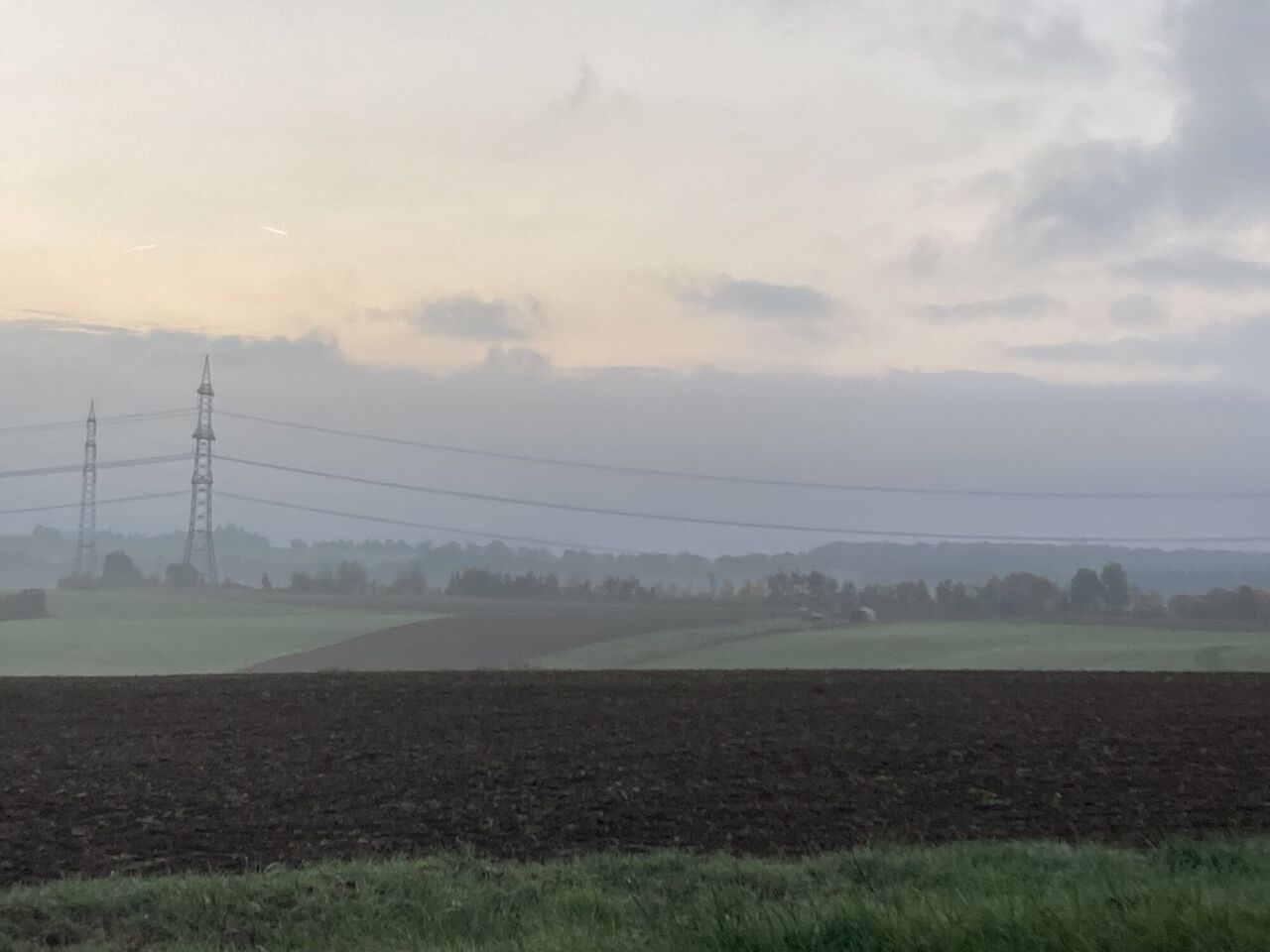 Biotopvernetzung / Windschutzhecke Okt. 5