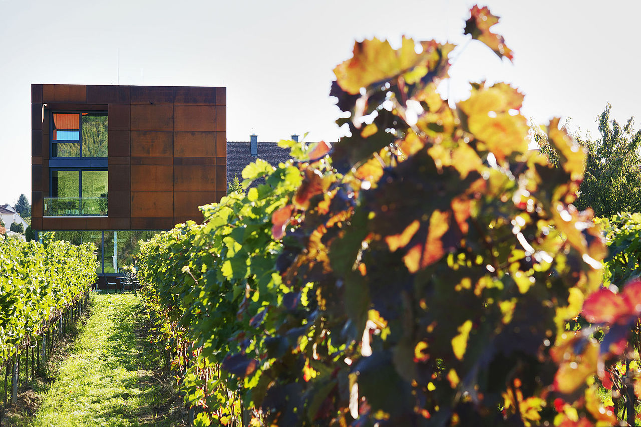 West-Ansicht der Weinprobierstube mit Betriebsleiterwohnung