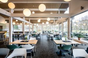 Bistro Bistro