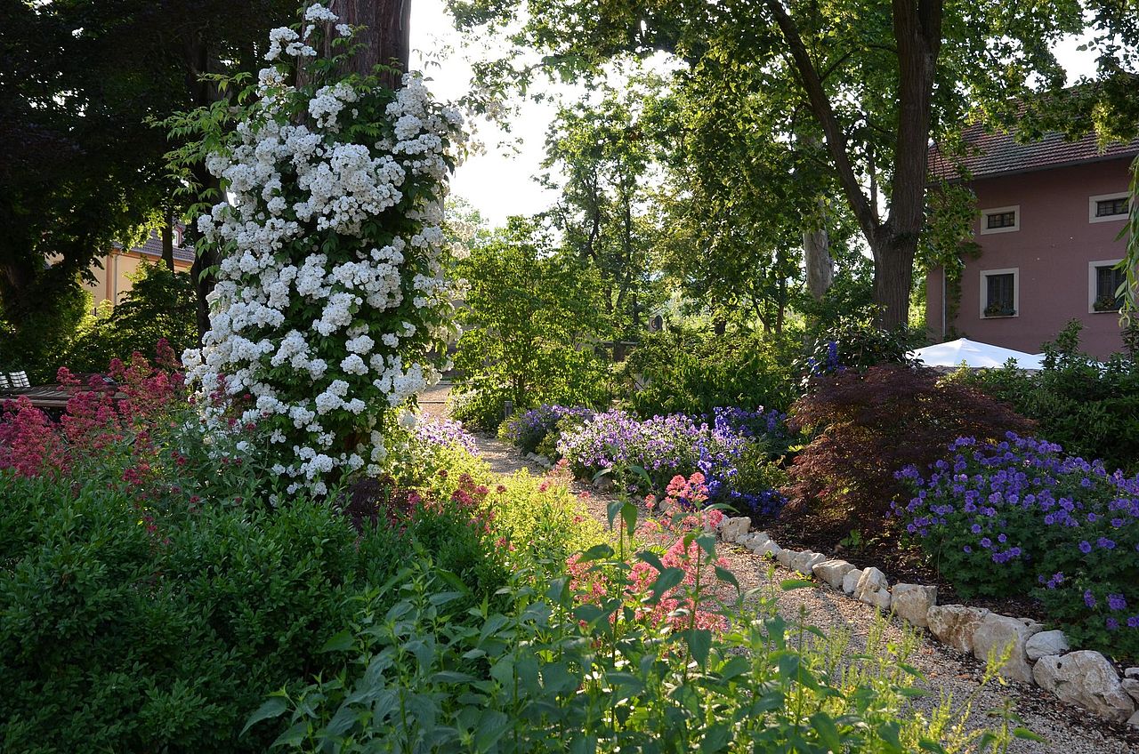 Foto: Blick in den Kaisergarten, dessen Pflanzen farbenprächtig blühen.