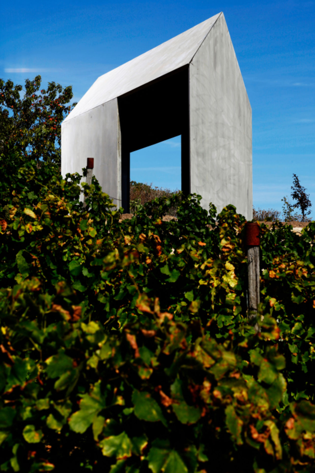 Foto: Blick auf das moderne Weinbergshaus aus Betonelementen, das sich an einem Hang zwischen Obstbäumen und Weinreben befindet.