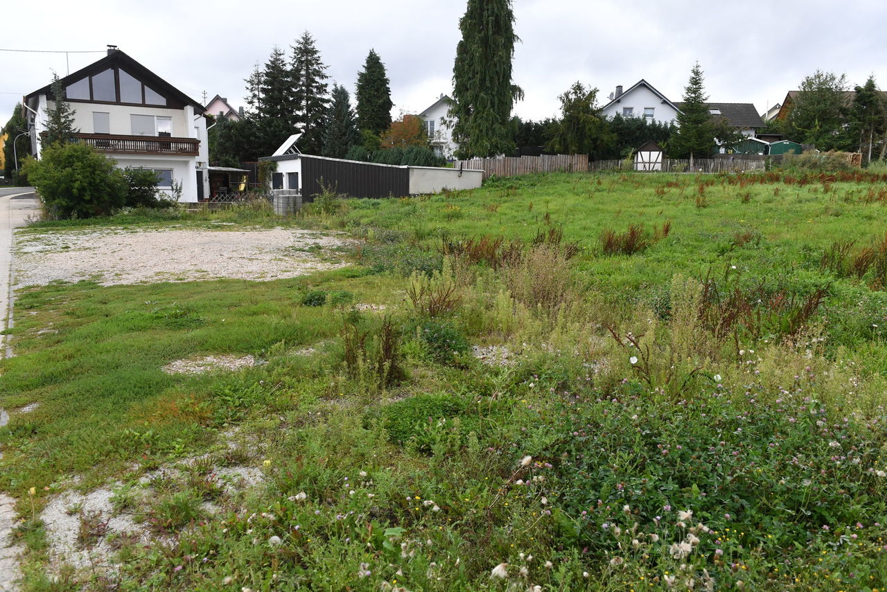Wiese im Wohngebiet in Dichtelbach.