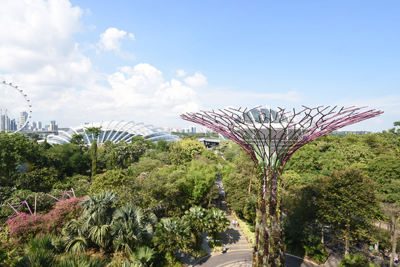 Exkursion Singapur - Kuala Lumpur 2019