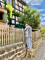 Mann steht auf Hocker am Gartenzaun, im Hintergrund ein Fachwerkhaus