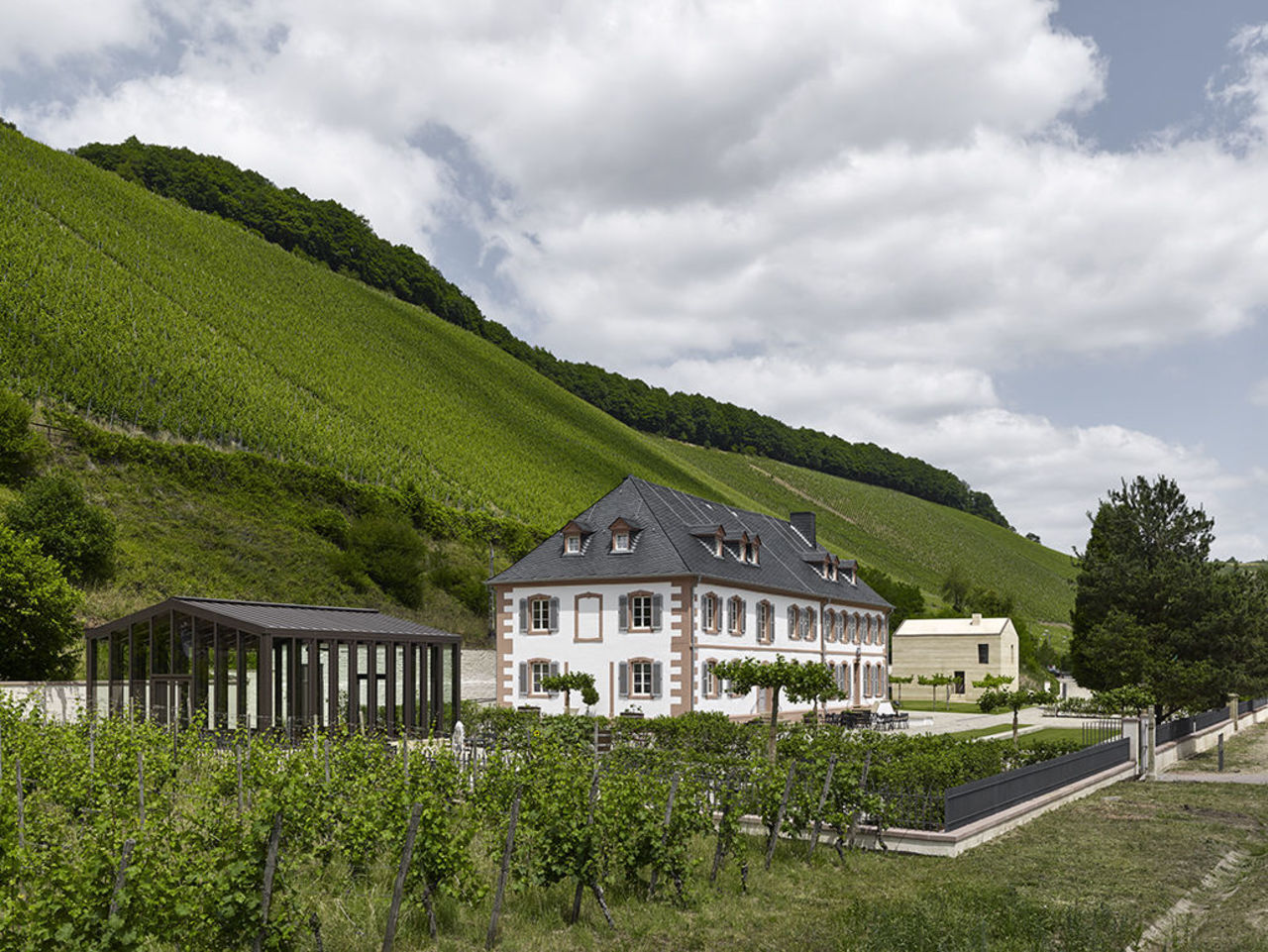 Cantzheim Weingut und Gästehaus (2017)