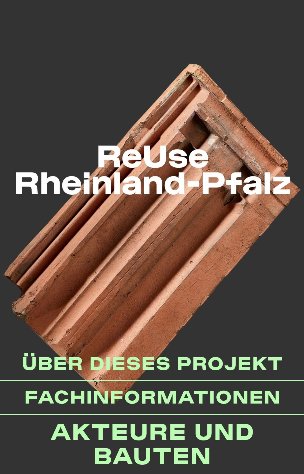 Reuse RLP