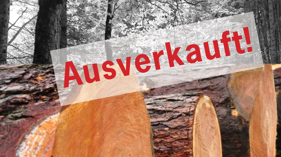 Ausverkauft! Schnittholz wird rar - Fotomontage mit gefällten Baumstämmen und Wald in schwarz-weiß