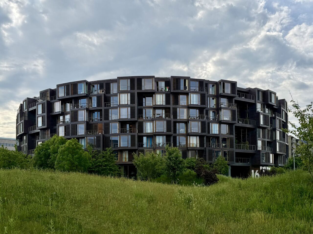 © Daniela Allgayer, Mainz