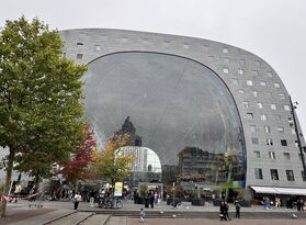 © Daniela Allgayer, Mainz Markhalle Rotterdam