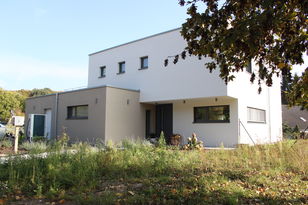 Nina Arnold, Mainz
