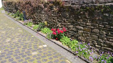 Stadt-Land-plus, Boppard-Buchholz
