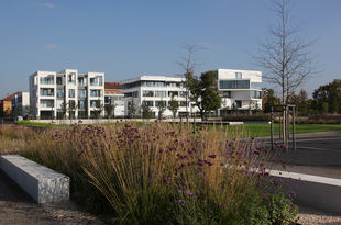 Rolf Goosmann Fotografie, Bad Bergzabern