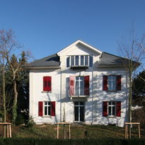 Friedrich Rohdich, Gau-Algesheim