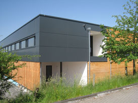 Tino Fein, Brandscheid