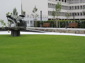 BohnFoto&Design, Trimport