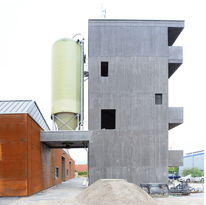 Ernst Wolfgang Eichler, Alzey